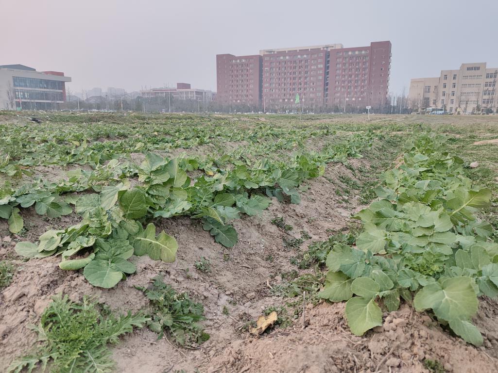 太阳集团2007网站