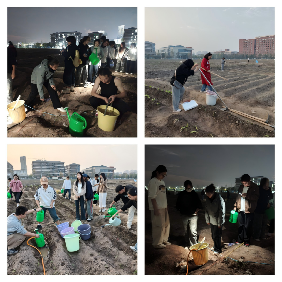 太阳集团2007网站