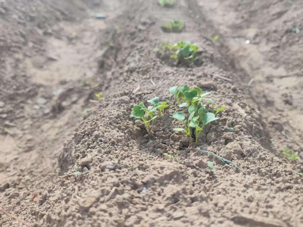 太阳集团2007网站