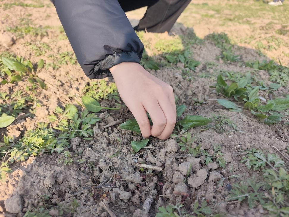 太阳集团2007网站