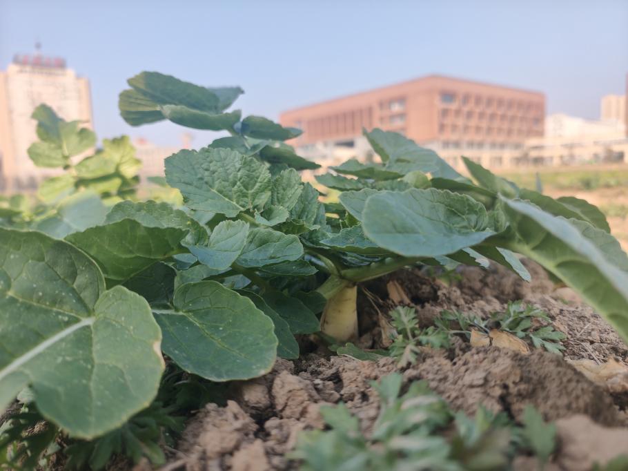 太阳集团2007网站