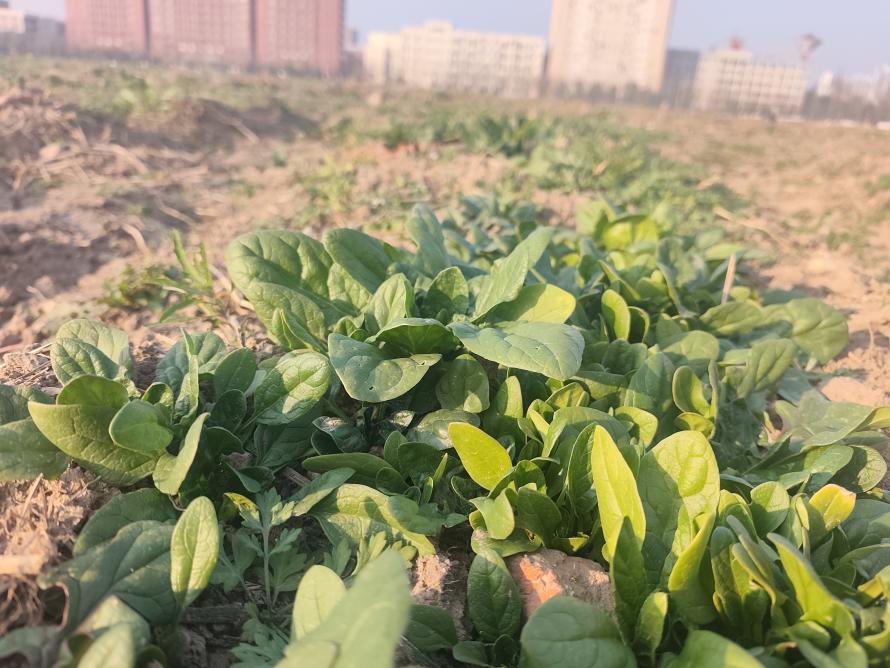 太阳集团2007网站