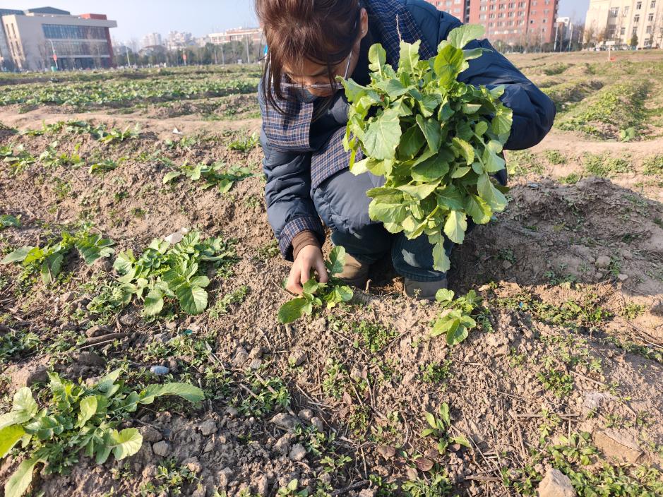 太阳集团2007网站