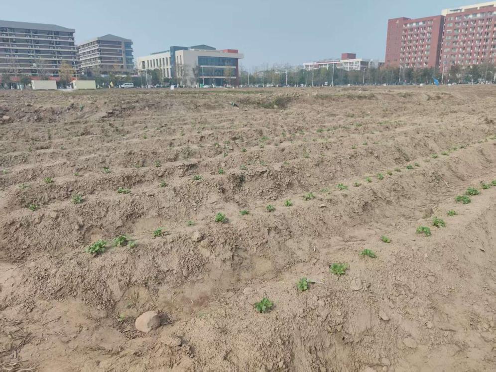 太阳集团2007网站